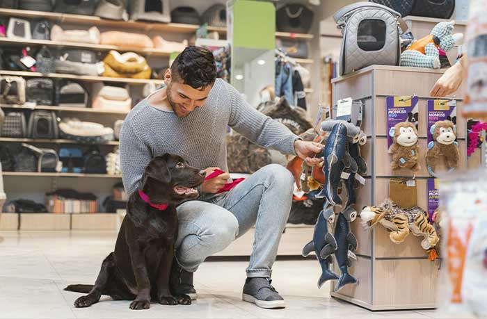 Acessórios para Animais