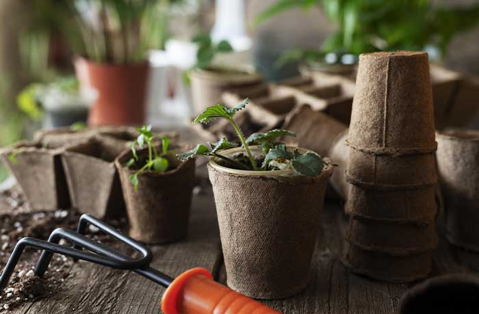 Produtos de Jardinagem